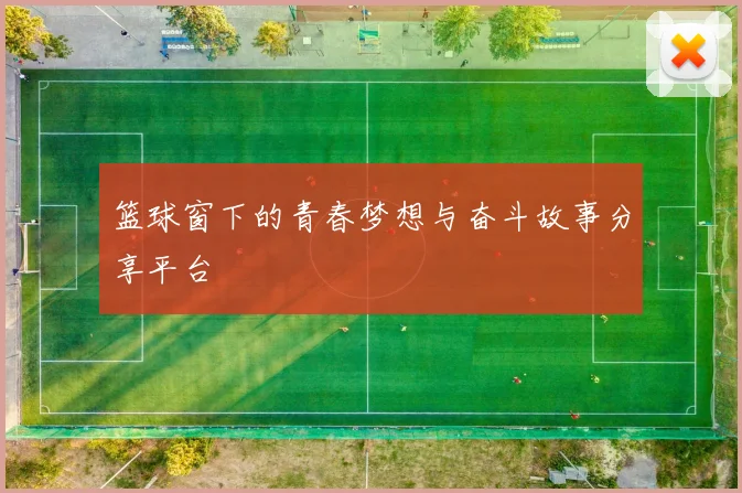 篮球窗下的青春梦想与奋斗故事分享平台